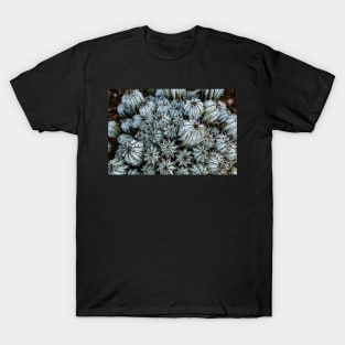 Radial Symmetry T-Shirt